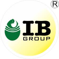 IB Group AG