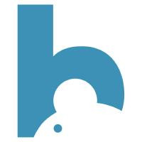 BlueMouse GmbH