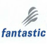 The Fantastic Corporation