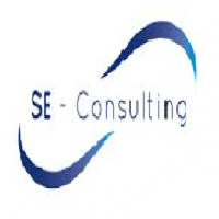 SE Consulting
