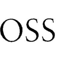 OSS Consulting GmbH