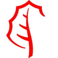 Acciona Airport Services