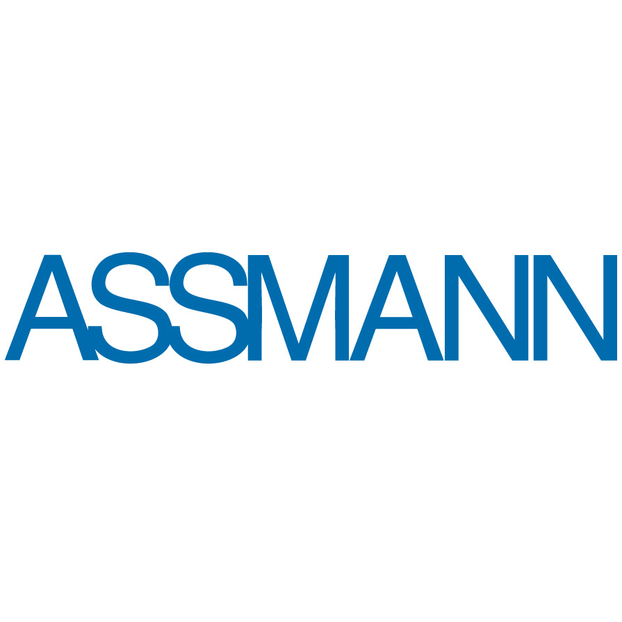 ASSMANN IT-Solutions AG
