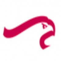 Remmers Consultants AG