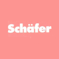 Schäfer Holzbautechnik AG