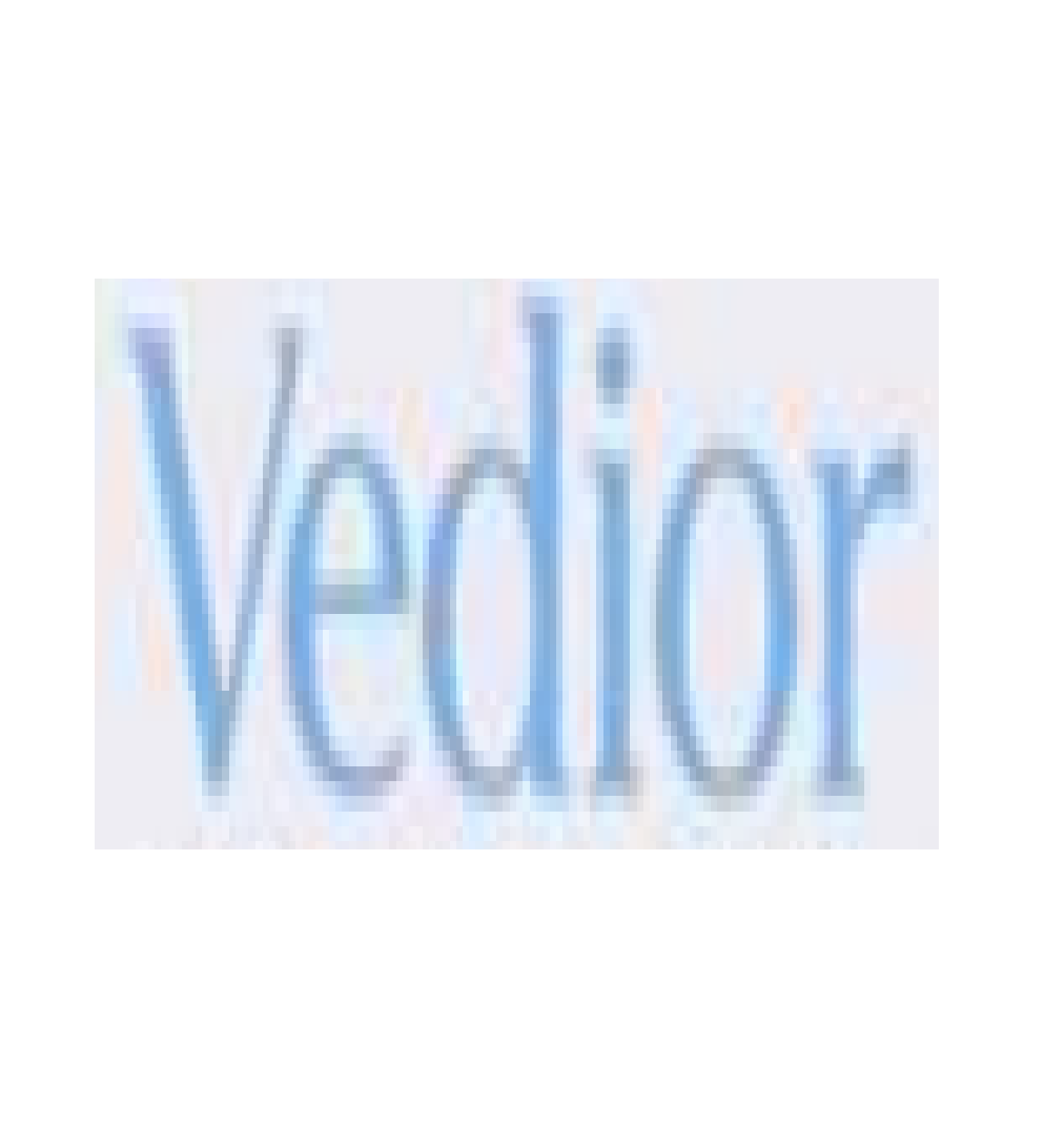Vedior Suisse SA