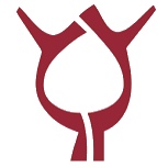 Berufsbildungswerk Liebenau gemeinnützige GmbH