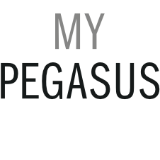 MyPegasus Transfer GmbH