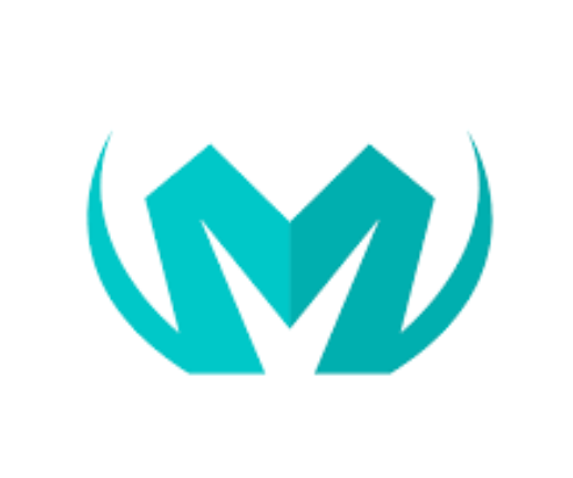 Mavin Consulting