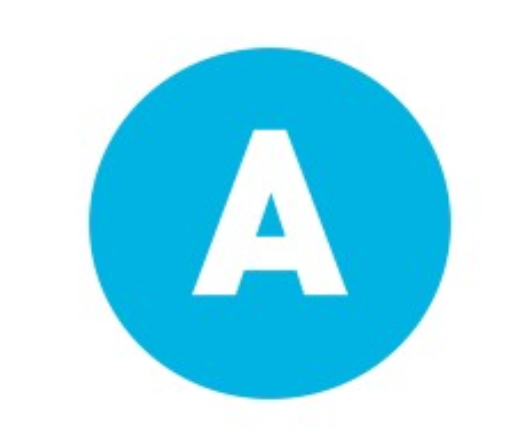 Audience INC