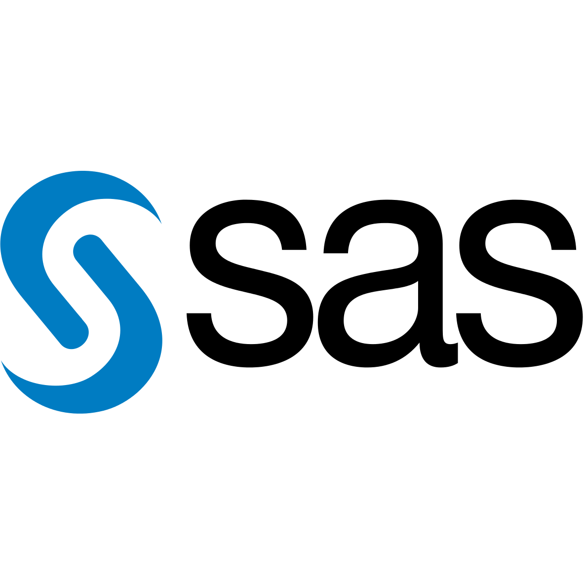 SAS Institute GmbH