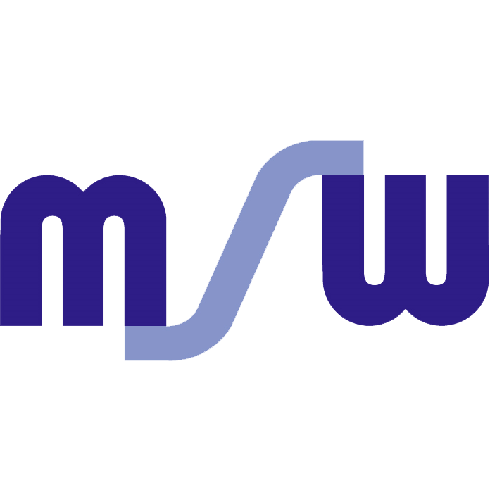 MSW Informatik AG