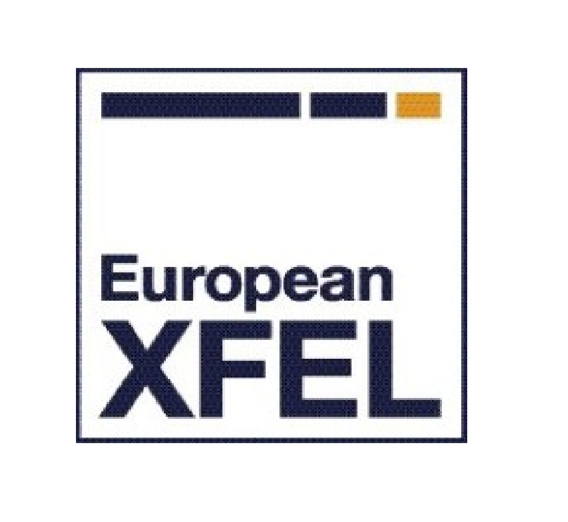European XFEL GmbH