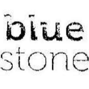 Bluestone (jetzt Ernst & Young)