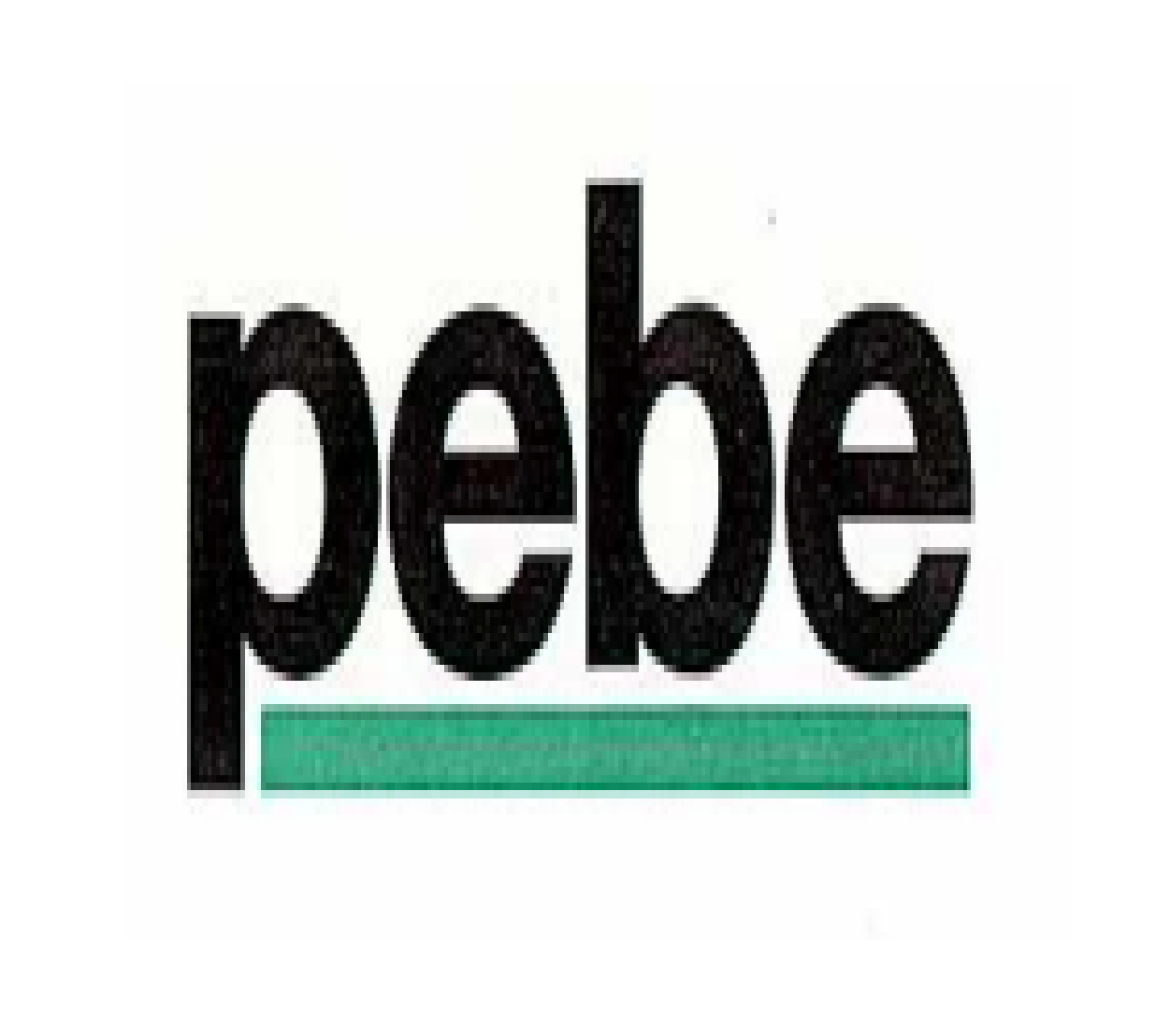 pebe Datentechnik AG