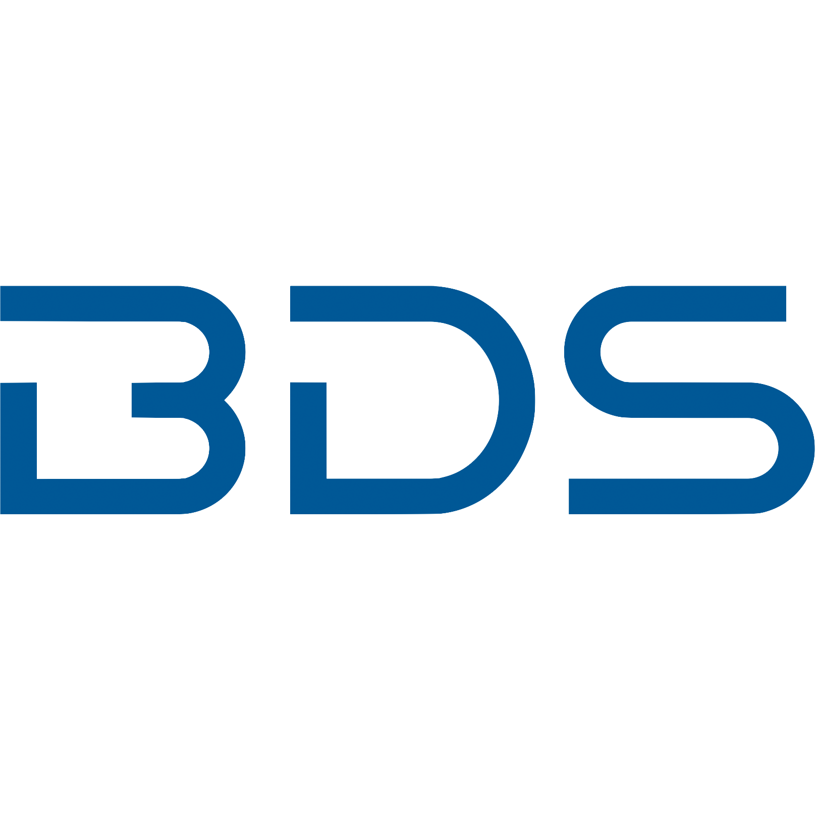 BDS Treuhand AG