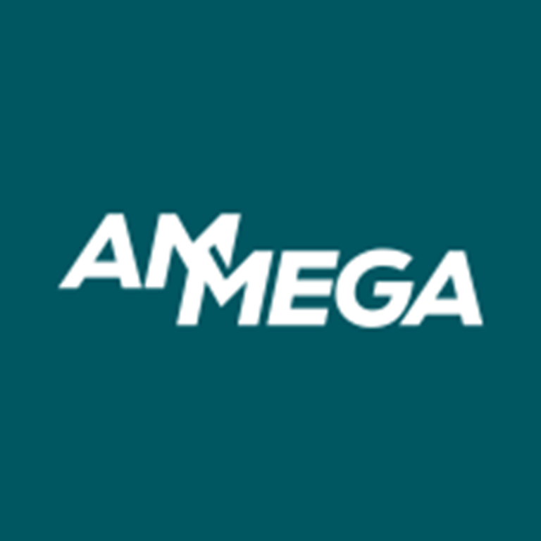 Ammega Group AG