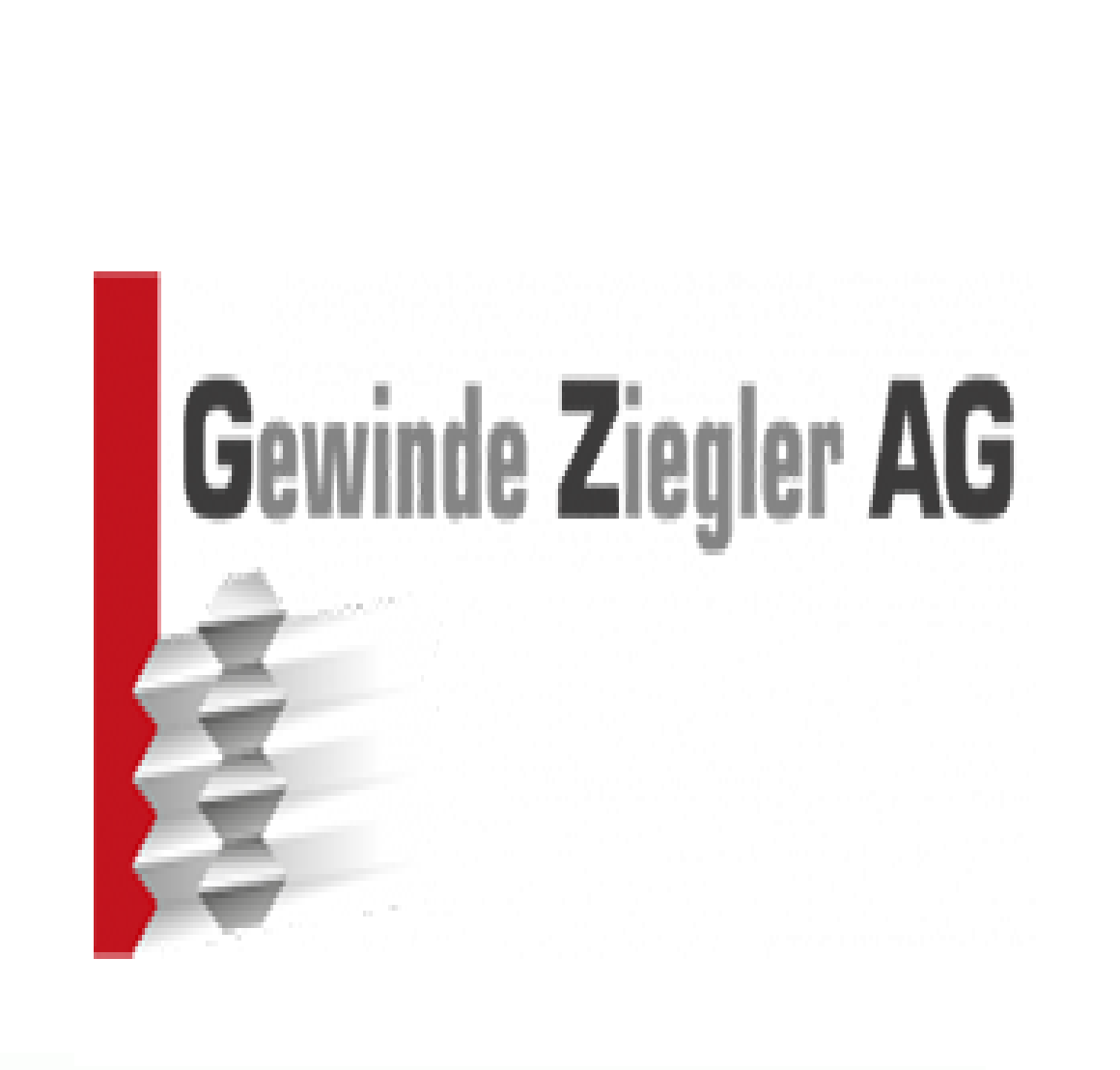 GWZ Informatik AG