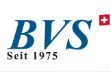 BVS Business School