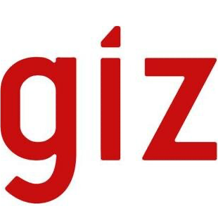 German International Cooperation (GIZ)