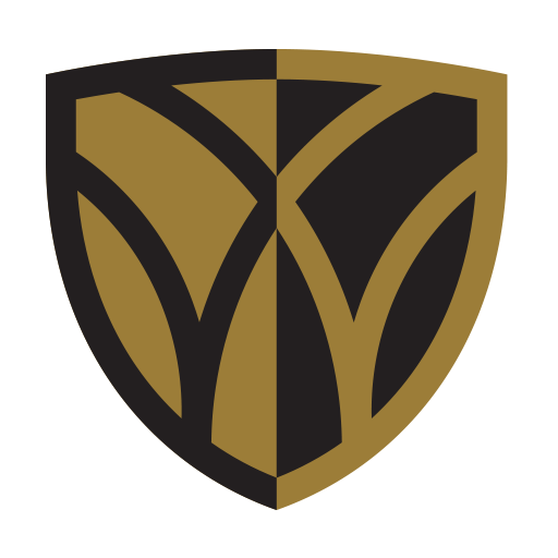 WFU The Bridge