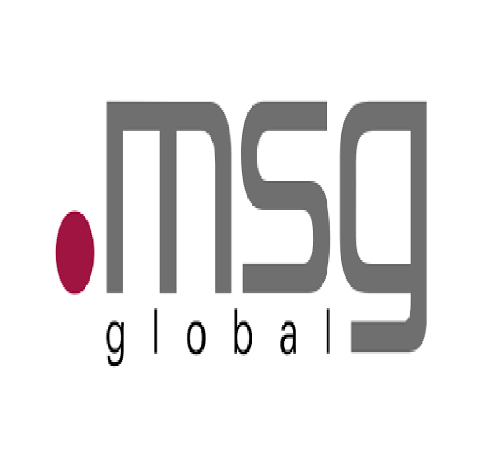 MSG Global Solution AG