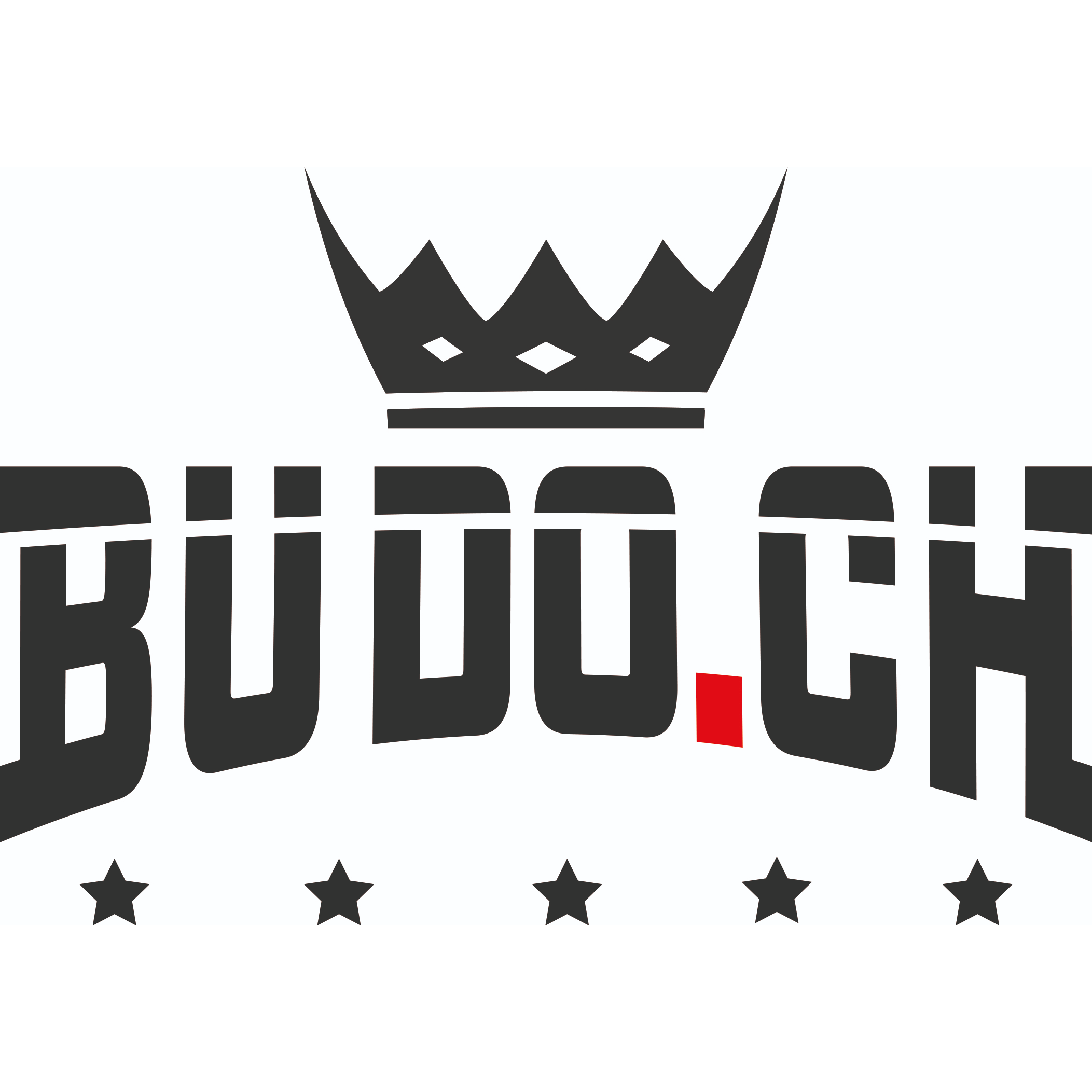 Budosport Nippon AG