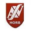 Allgemeiner Sportverein Horb am Neckar