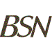 BSN Glasspack GmbH & Co. KG
