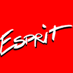 Esprit Personalberatung AG