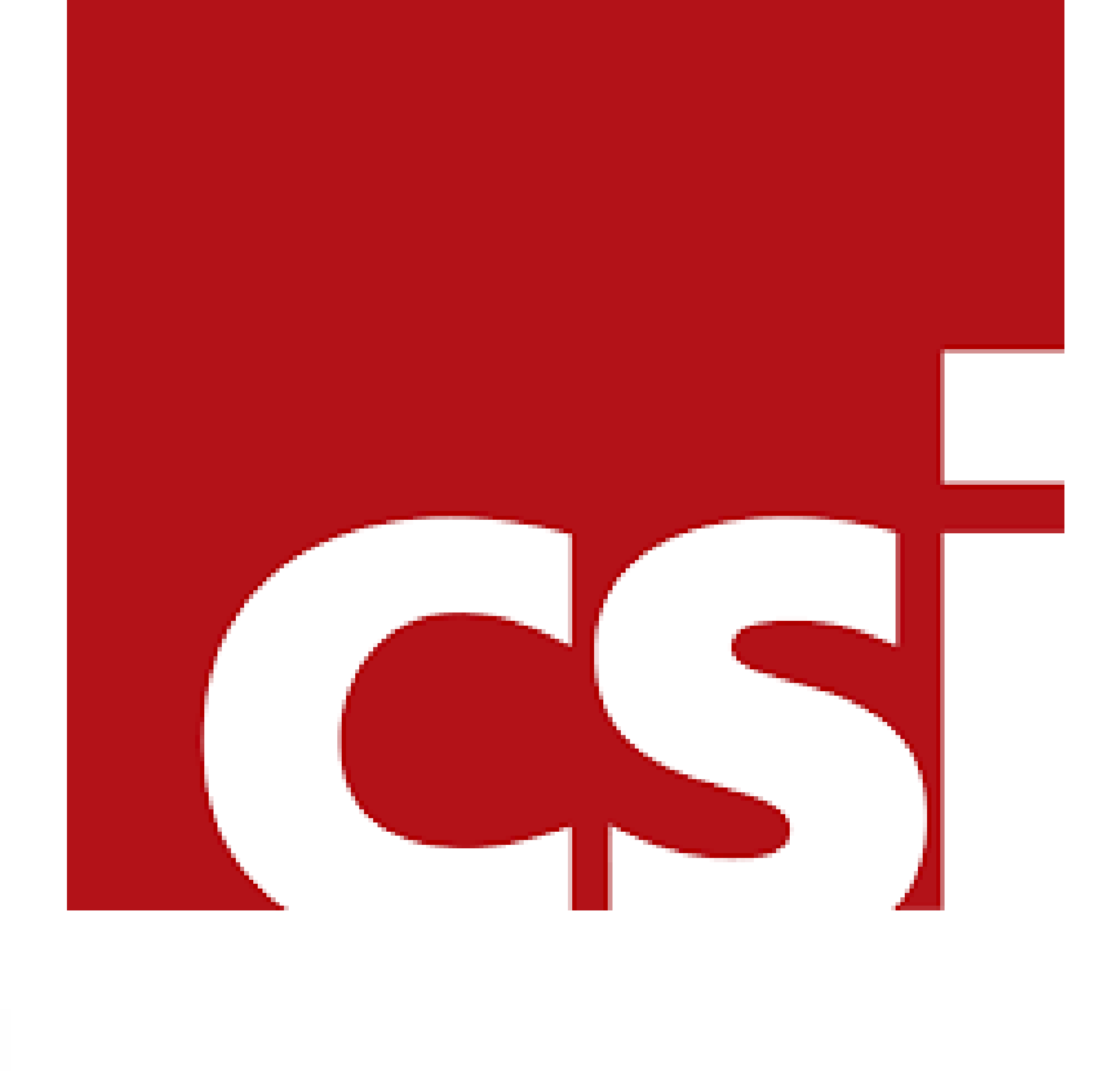CSI Entwicklungstechnik GmbH