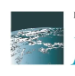 Buehler Expert Advisors