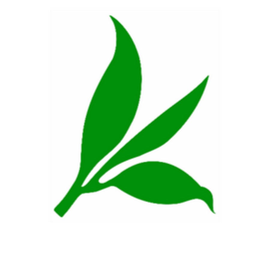 Gebrüder Wollenhaupt GmbH