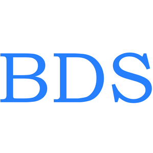 BDS Wirtschaftsprüfungs AG
