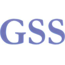 Global Software Solutions GmbH