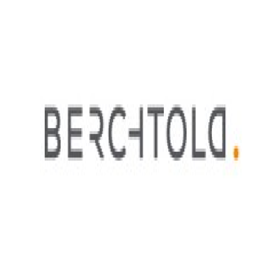 Berchtold Consulting GmbH