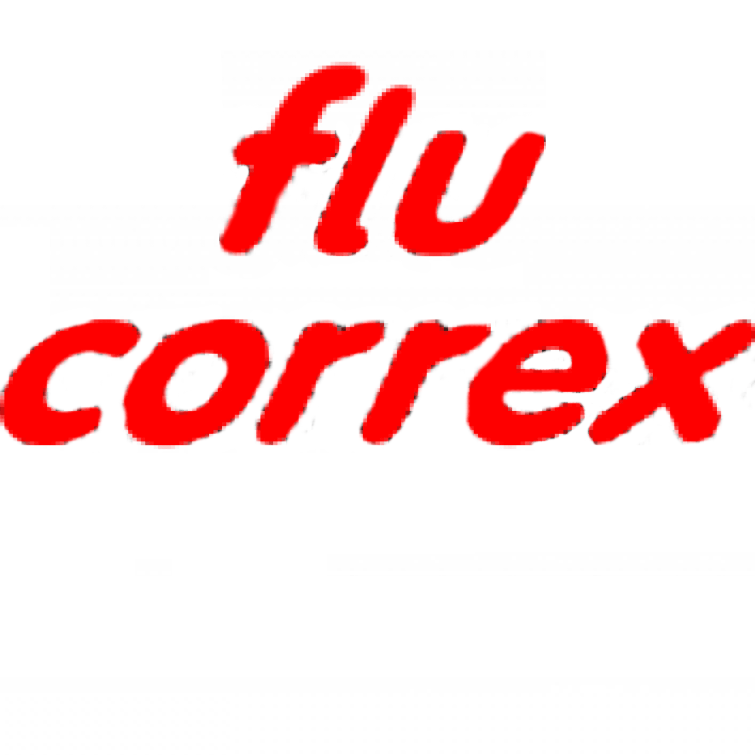 Flucorrex AG