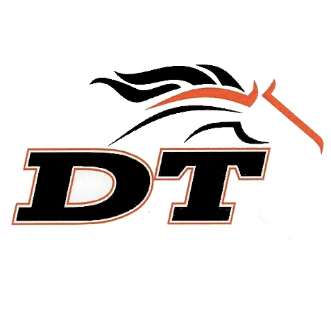 DT GmbH