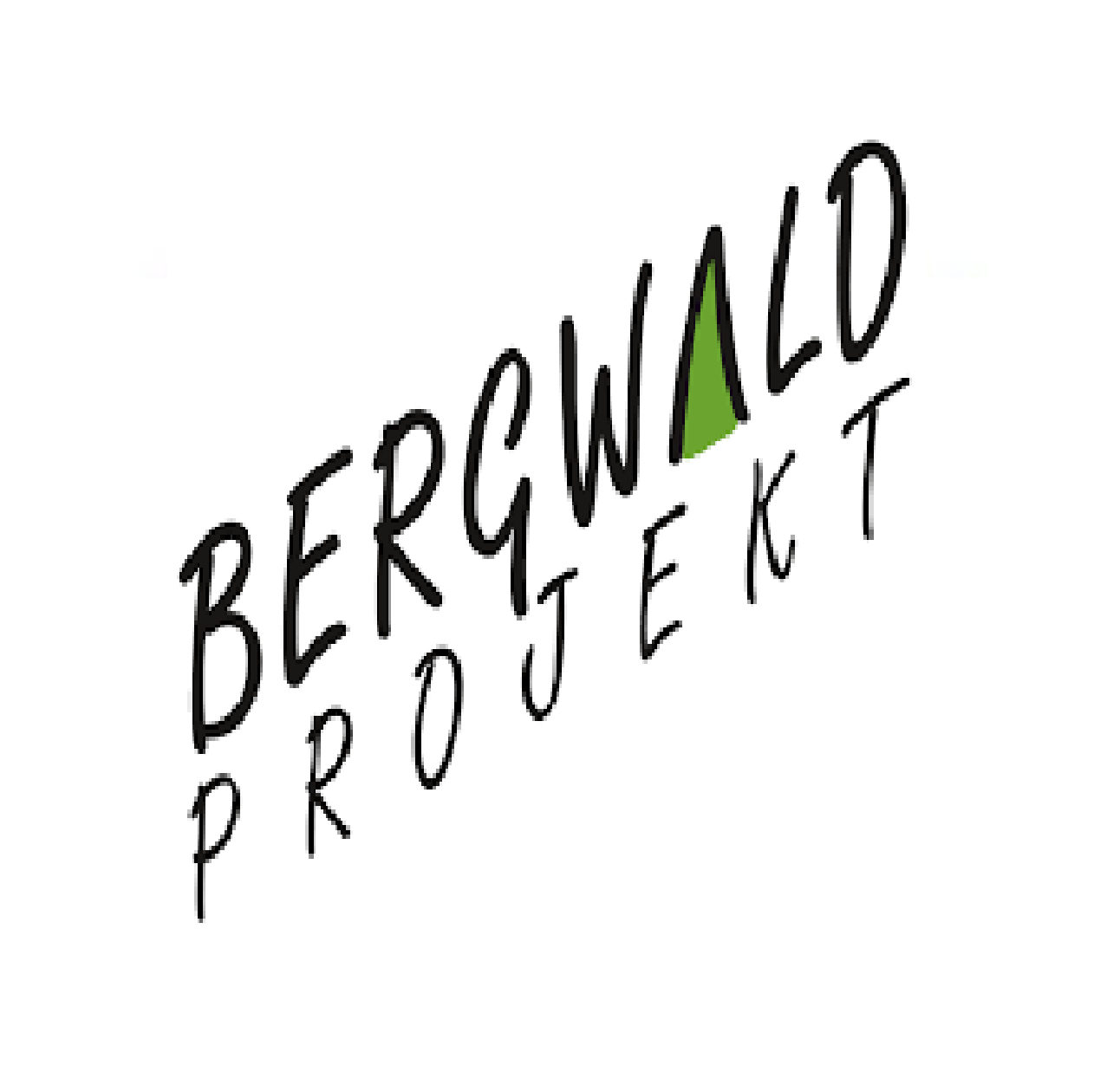 Bergwaldprojekt