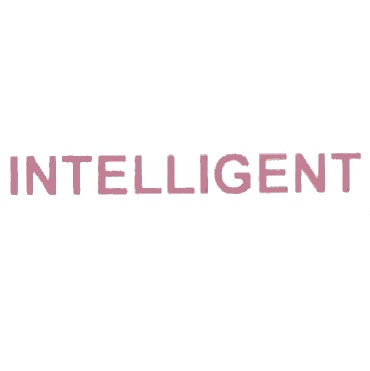 INTELLIGENT TECHNOLOGY AG