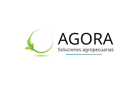 AGORA Partner AG