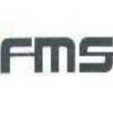 FMS-Automation AG