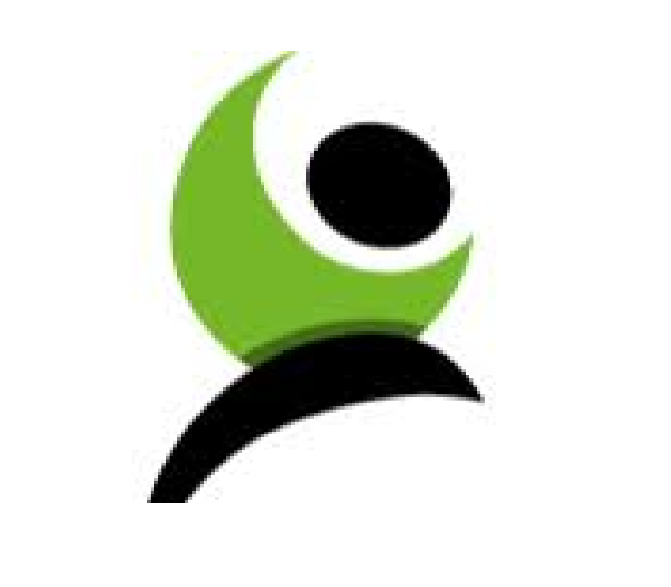 Evergreen Human Resources AG