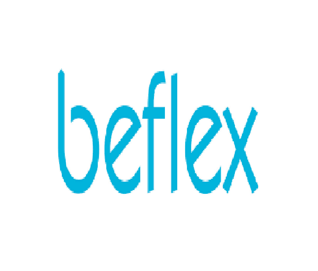 Beflex Electronic AG