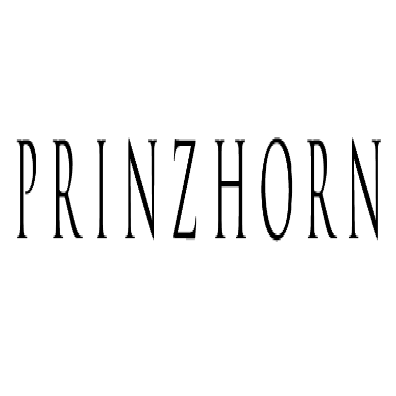 Prinzhorn Holding GmbH
