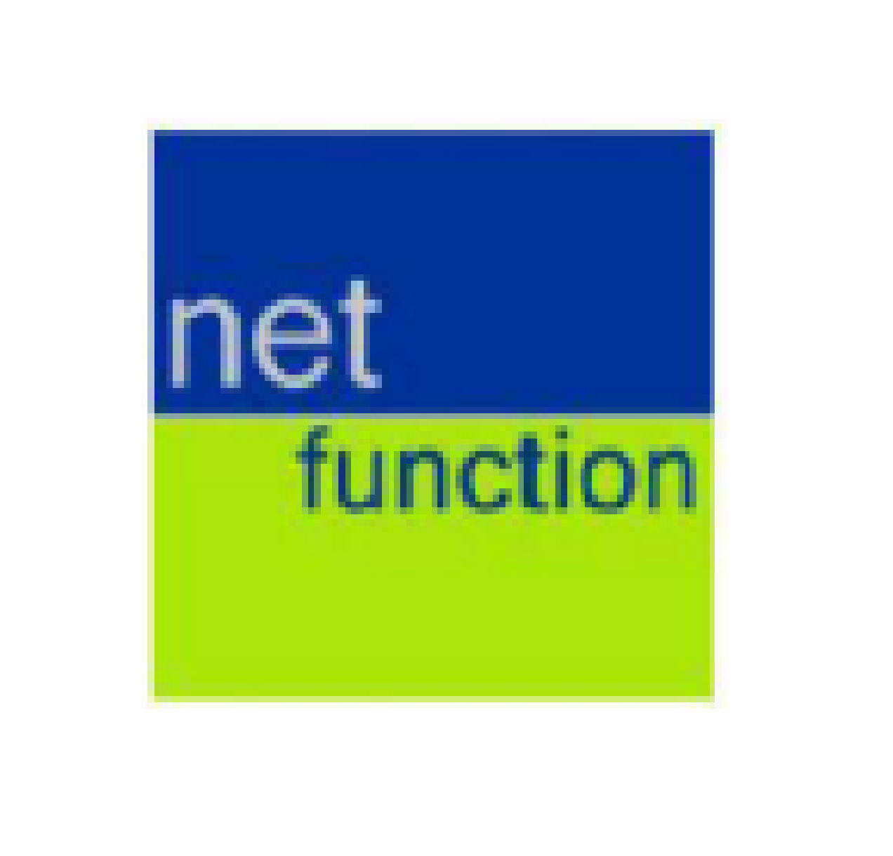 Net-Function AG