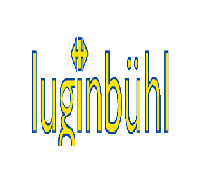 Luginbühl Fahrzeugtechnik AG
