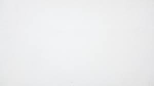 RS Vertriebs AG (Schubiger Haushalt / nettoshop.ch) / Dipl. Ing. Fust AG