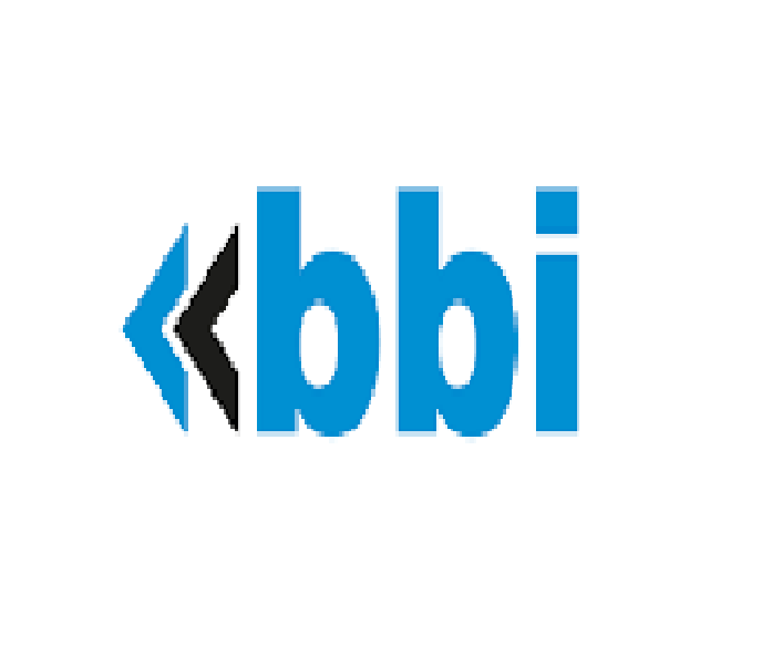 BBI Informationstechnologie AG