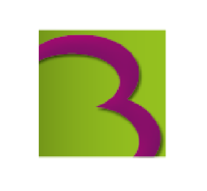 Bricon Technology GmbH